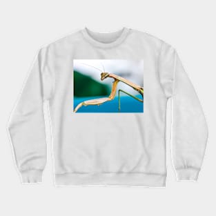 Giving you the eye---- Crewneck Sweatshirt